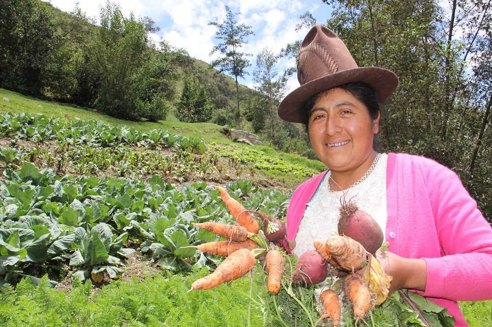 Foncodes: 209 mil familias cuentan con riego tecnificado para  mejorar sus emprendimientos