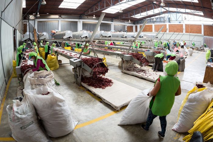 Empleos directos asociados a las  exportaciones crecen alrededor del 2%