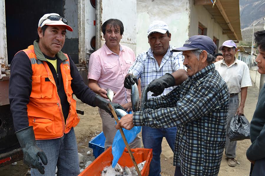 Pallasca: Municipio distribuyó 17 toneladas de pescado a población de la provincia