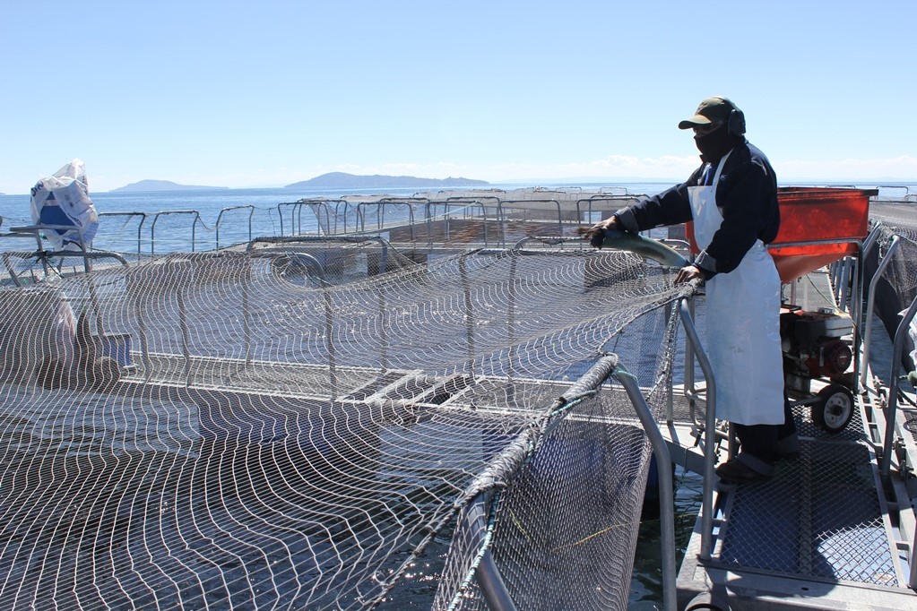 Adex: envíos regionales retrocedieron -9.8% en primer trimestre del año 