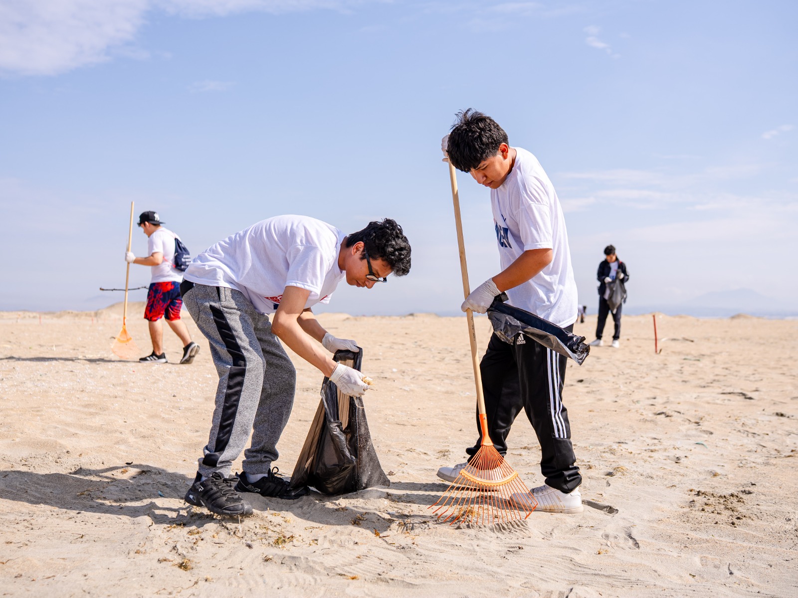 Estudiantes del programa Alfa de la UCV realizaron jornada de responsabilidad social en la playa El Dorado