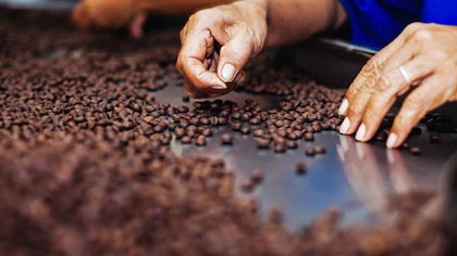 Francia podría suspender la importación de frutas de Perú en las próximas horas