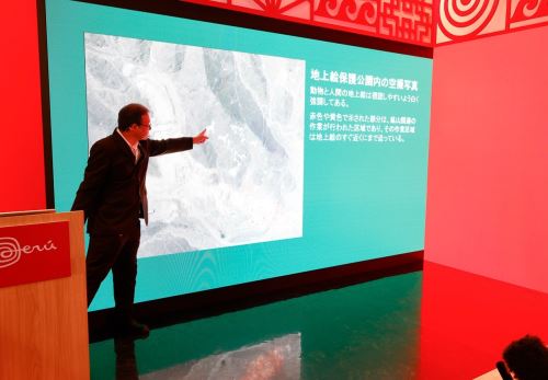 ¿Qué imágenes figuran en los 248 nuevos geoglifos descubiertos en las Líneas de Nasca?