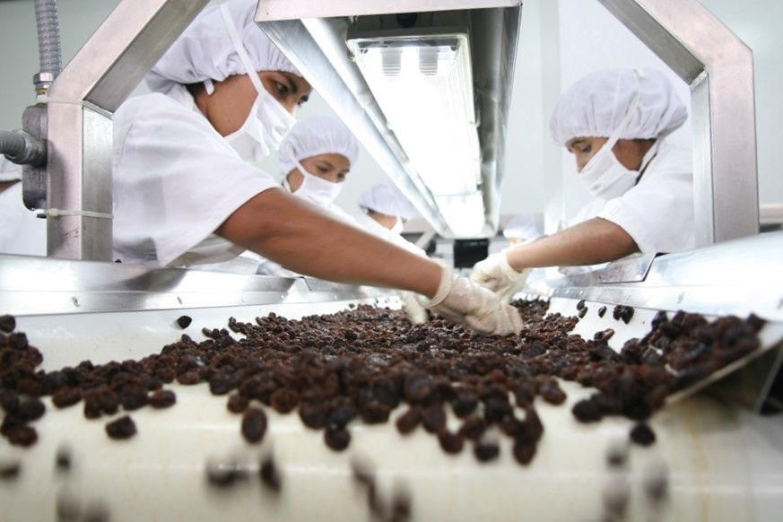 En 5.5% se incrementó número de empresas exportadoras de enero a junio del 2025