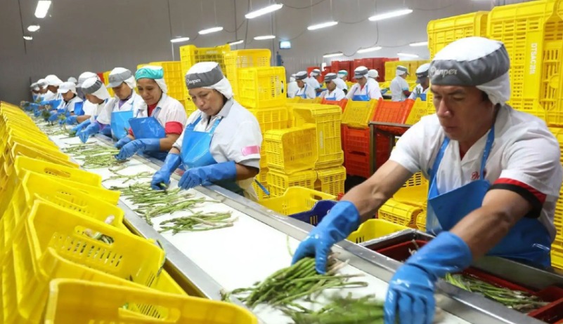 “Exportaciones no tradicionales crecieron 12,8% en setiembre del 2025”