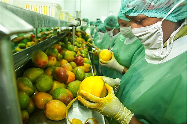 Sector agropecuario creció 12.4% a nivel nacional