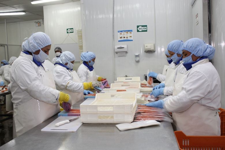 Empleos directos asociados a las exportaciones sumaron millón y medio