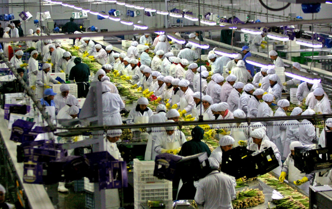 Exportaciones sumaron US$ 34.4 millones en cuatrimestre