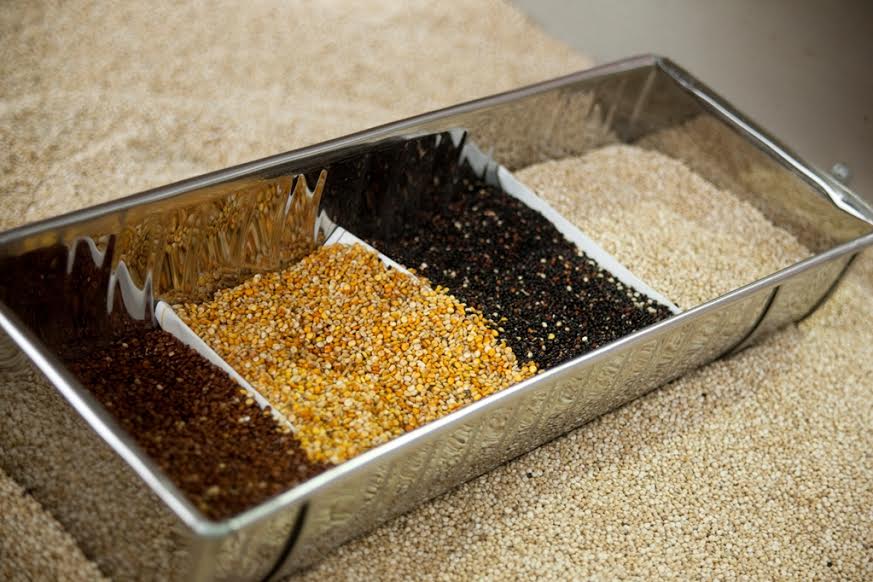 Falta de conectividad y seguridad impiden normal desenvolvimiento de exportaciones