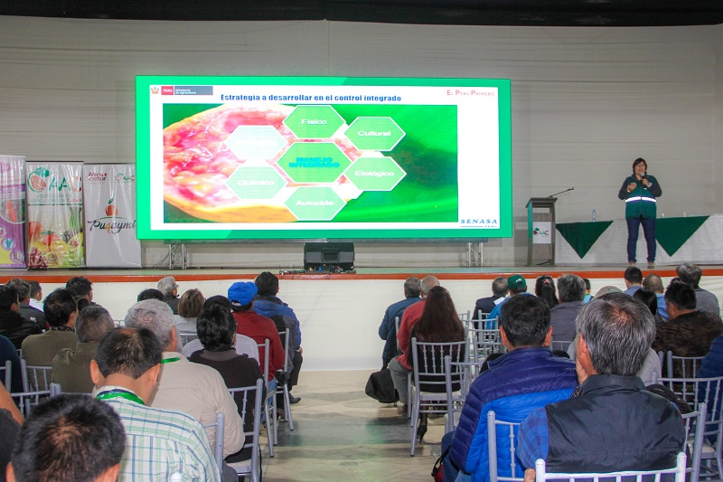 Senasa presente en VIII Congreso Internacional de Mango y Palta 2019