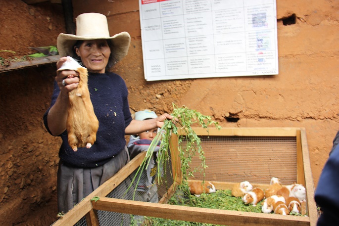 Más de 200 mil familias de zonas rurales experimentan cambio en su economía con Haku Wiñay