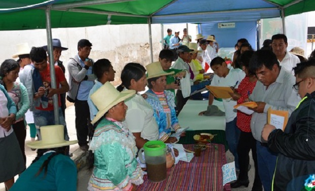 Con éxito se llevó a cabo Feria Gastronómica y Concurso de Platos Típicos” en Huaylas