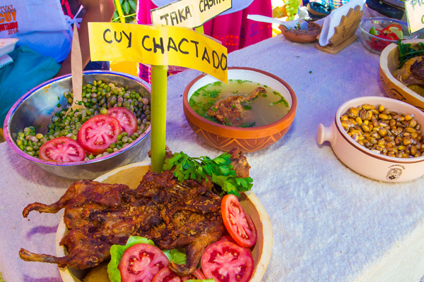 Bolognesi: Realizan Primer Festival del Cuy de Chasquitambo para promover su consumo