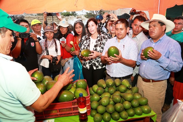 Productores de frutas de Fortaleza y Purísima participaron en VIII Festival de la Palta en Chasquitambo 