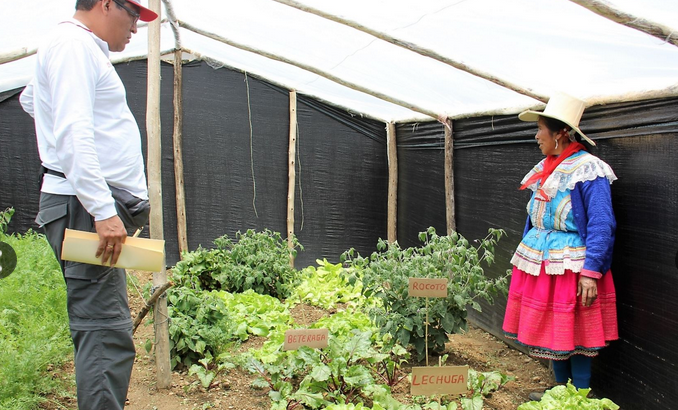 Huaylas: Foncodes invierte S/ 1 millón 634 mil en proyectos rurales en Pamparomás