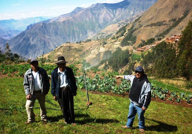 22 proyectos productivos se ejecutan en zonas de Áncash 