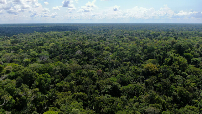 Políticas ambientales establecen 13 objetivos en busca de un entorno saludable