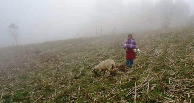 Del 21 al 28 de mayo se incrementará la sensación de frío en la sierra de Áncash