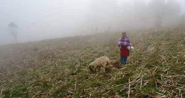 Sensación de frío aumentará en la Sierra de Áncash