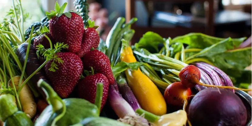   Dieta y nutrición: alimentos saludables para el cuidado y protección de sus ojos