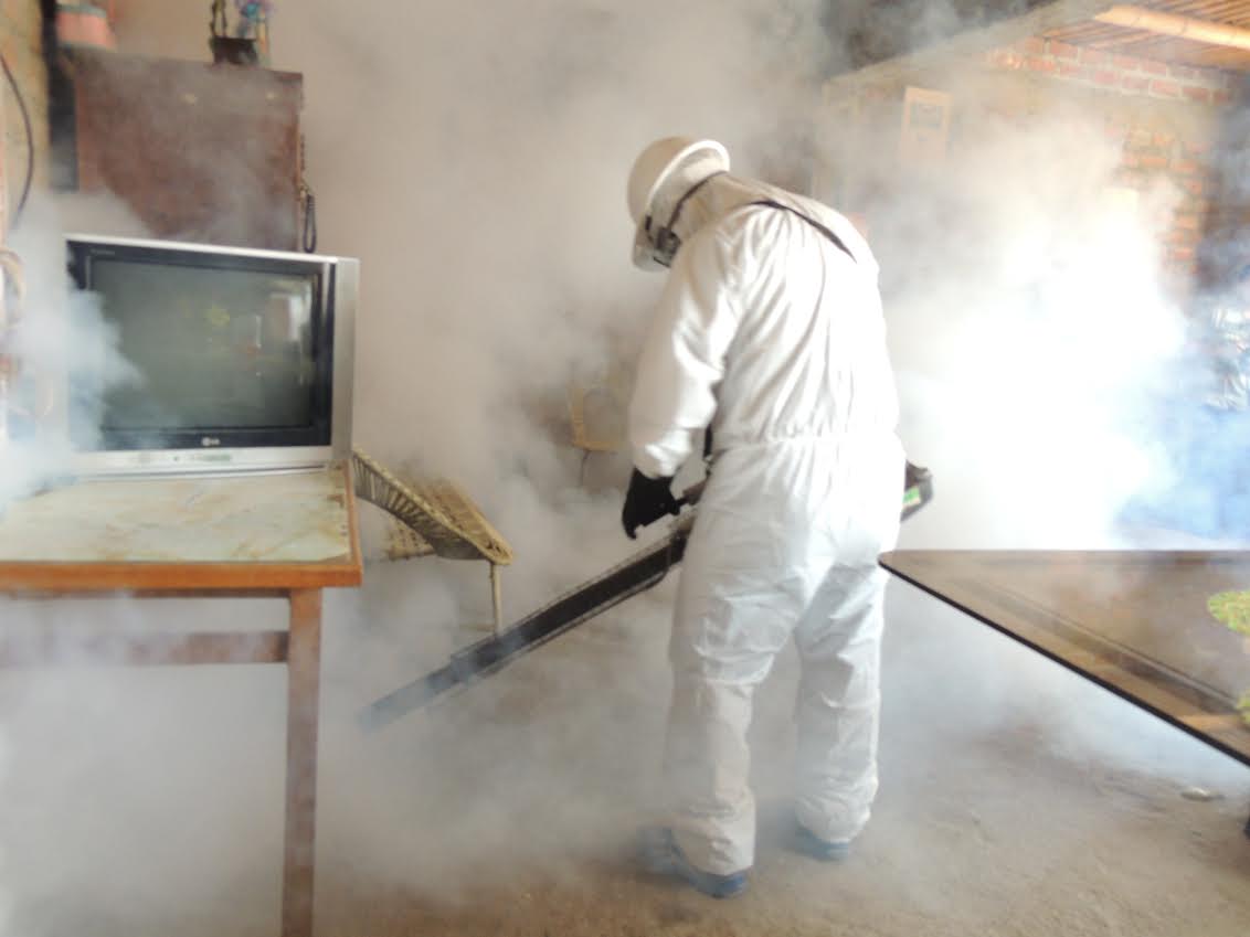  Casma: refuerzan labores de fumigación casa por casa para combatir el dengue