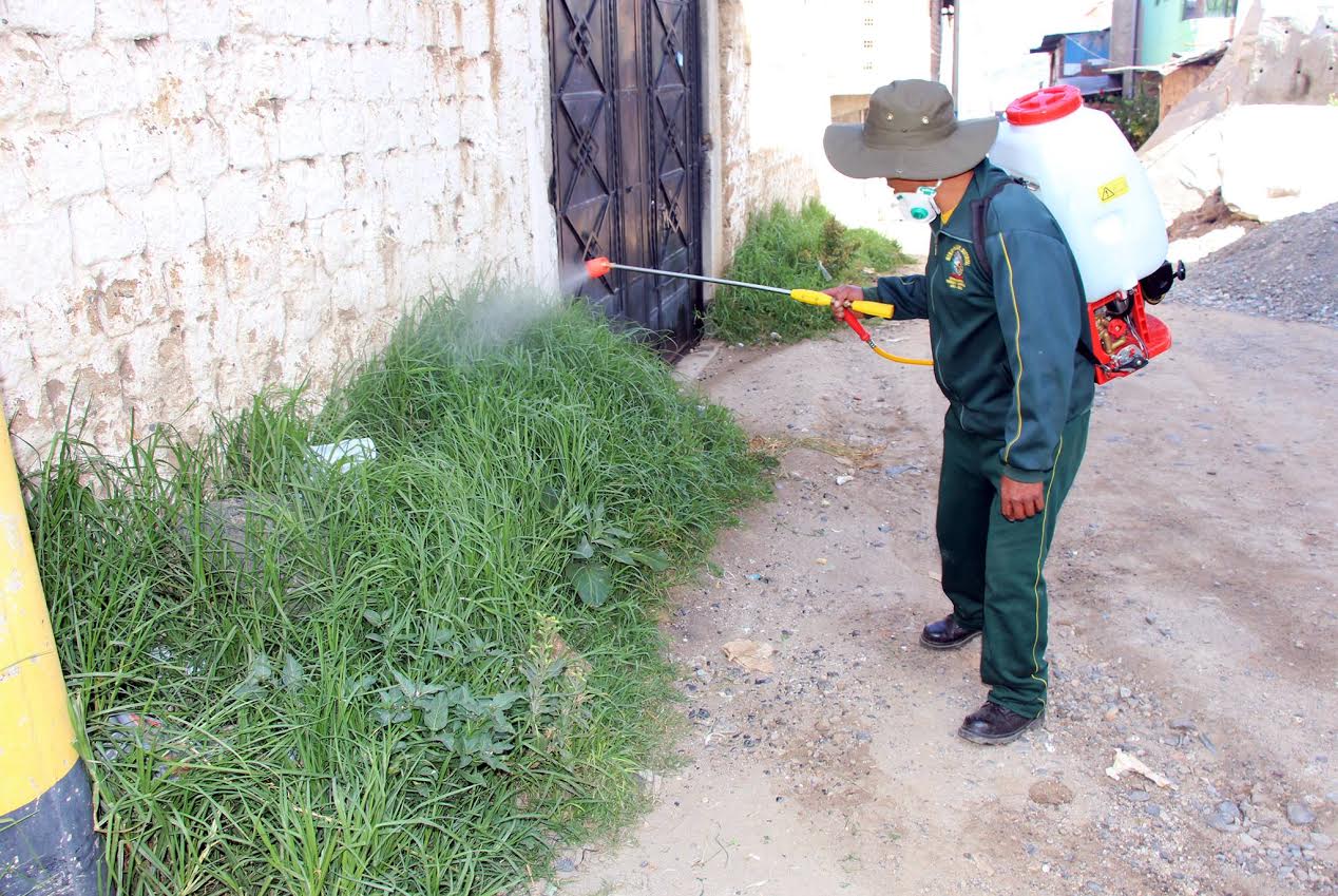  Fumigan malezas de las calles de Independencia