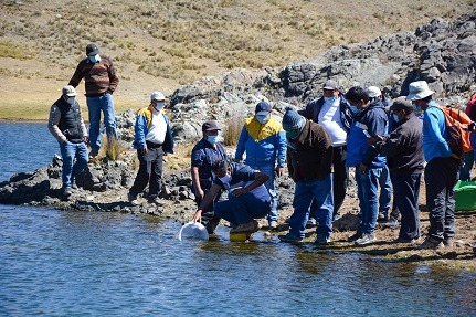 Gobierno regional entrega 13 mil alevinos de truchas en la provincia de Aija