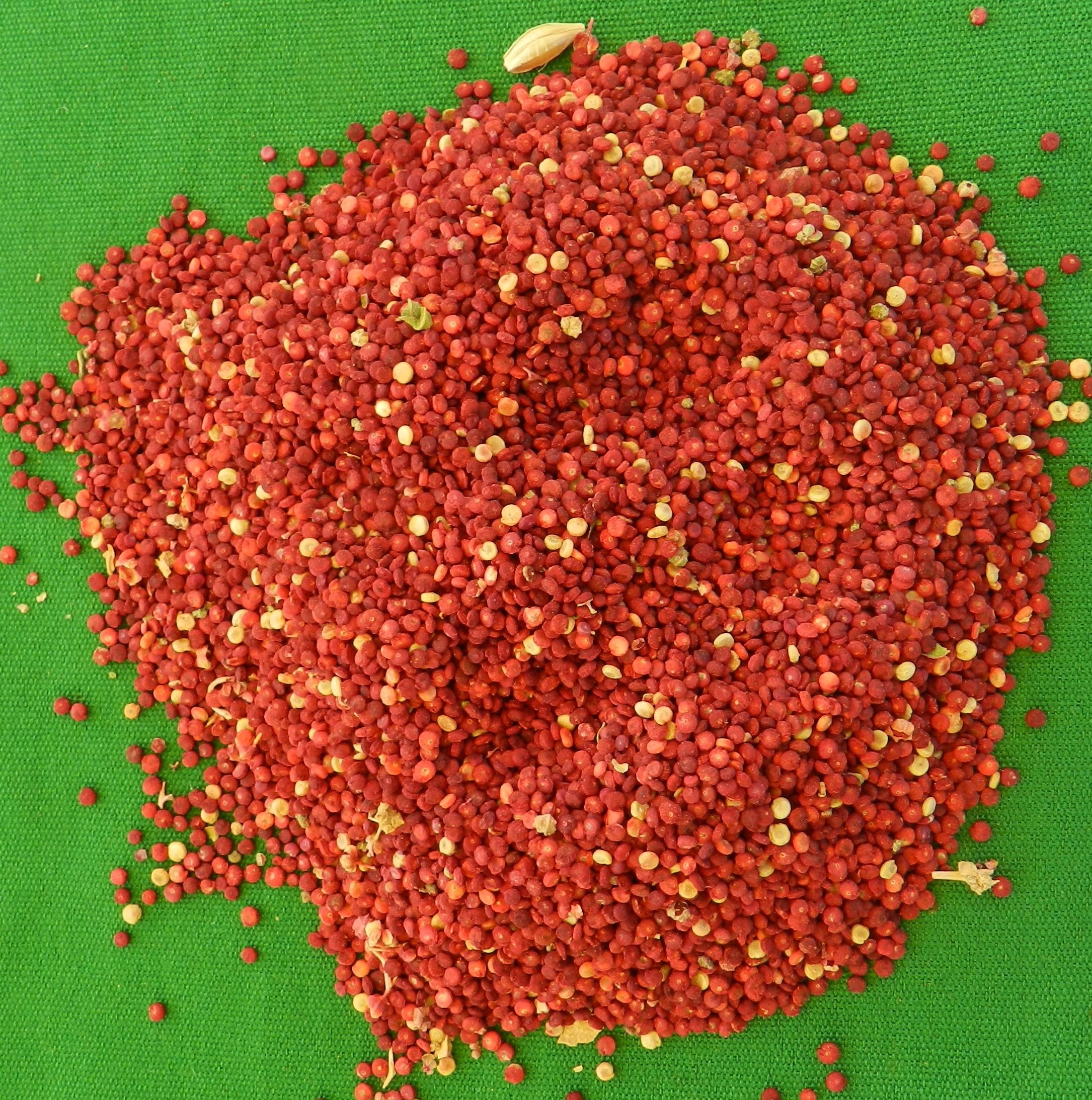 Feria gastronómica de granos andinos promueve la  dirección regional de agricultura 