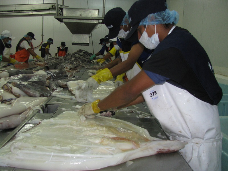 Gremio de exportadores lanza ADEX Consulting para recuperación de negocios en el exterior