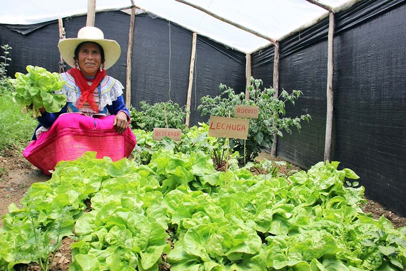 Ancash: familias de San Luis dan a conocer logros de trabajo con Haku Wiñay