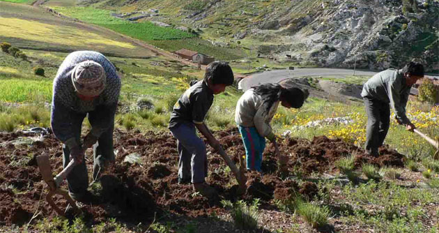 Saludable rectificación del Gobierno en presupuesto para el agro