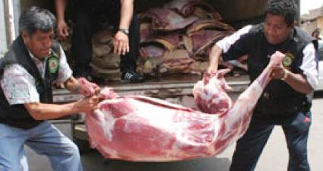Carhuaz: Decomisan carne de burro que iba a ser enviado a mercado de Lima