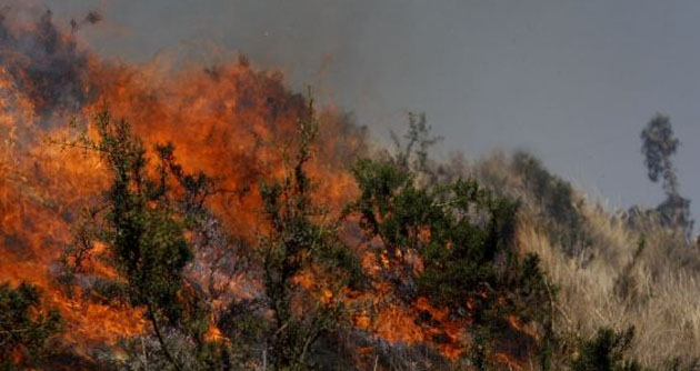 Incendios forestales en Ancash disminuyen apenas en 6%