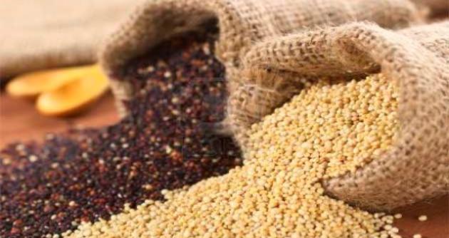 Agricultores del distrito de Yungar proveen de quinua a “Qali Warma”