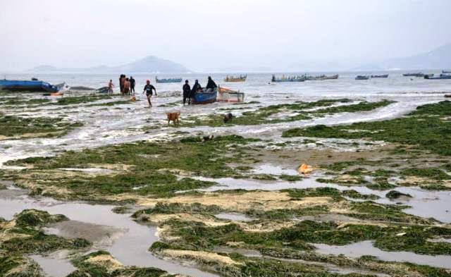 Más de 40 embarcaciones pesqueras se perdieron por oleaje  en costa de Áncash