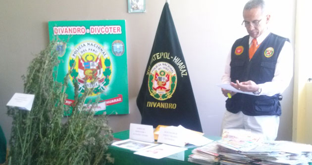 Policía Nacional incinera treinta cinco mil plantones de marihuana