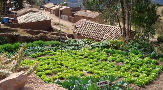 Programa Haku Wiñay recibió premio  “Buenas Prácticas en Gestión Pública 2014”