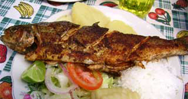 Subestación pesquera pone a disposición tonelada de trucha por semana jubilar de Huaraz