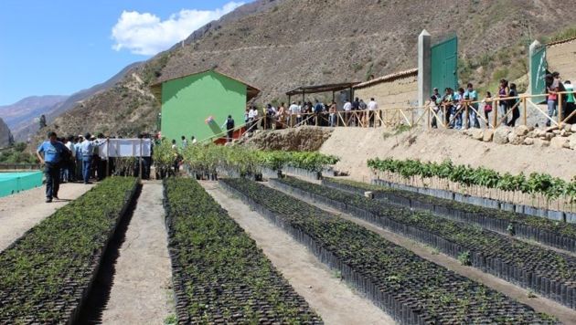 Inauguraron moderno vivero frutícola y agroforestal en Huari