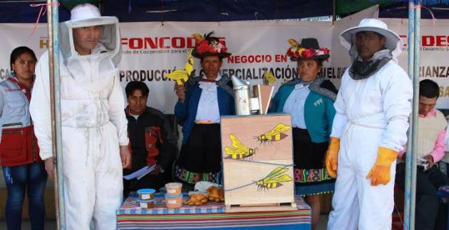 Decena de asociaciones de campesinos ganaron Concurso de Negocios Rurales en Ancash