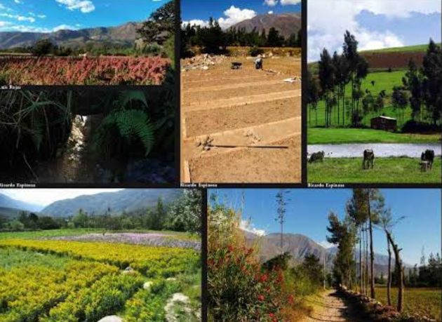 Candidatos a la alcaldía provincial de Huaylas presentarán sus propuestas culturales