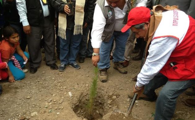 Primer vicepresidente del Congreso inauguró proyecto de reforestación en Huari
