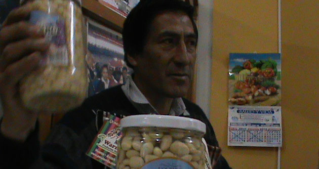 Declaran el “tarwi huaracino” como producto emblemático para su consumo masivo