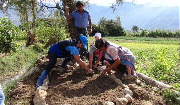 Municipio de Huaylas y Agrorural realizan concurso de manejo de biohuertos escolares