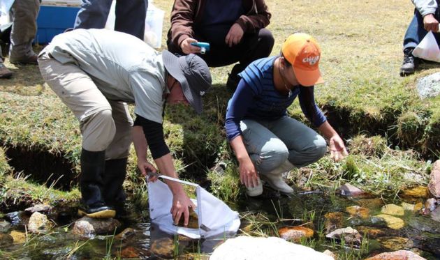 Inician Proyecto recuperación de Bofedales en la Quebrada Quillcayhuanca