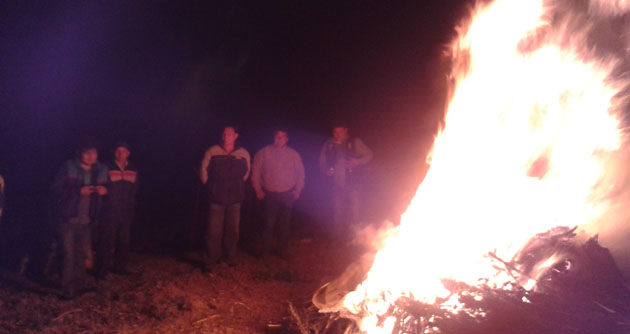 Decomisan e incineran más de 30 toneladas sembríos de Marihuana en distrito de Marcará-Carhuaz