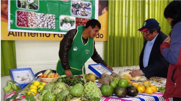 Pequeños productores de la sierra y selva impulsan microcréditos