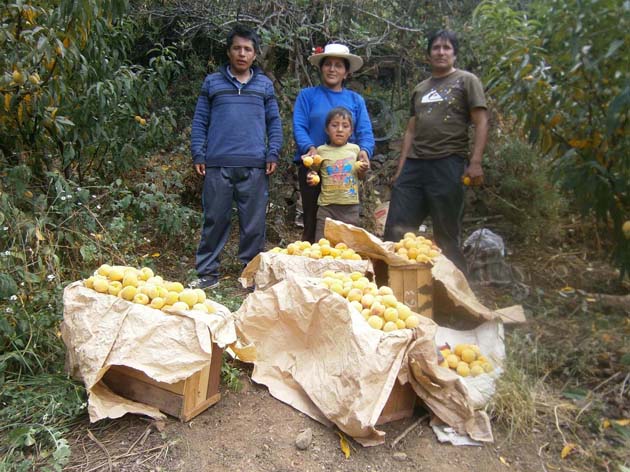 Cáritas: proyectos benefician a campesinos de Áncash