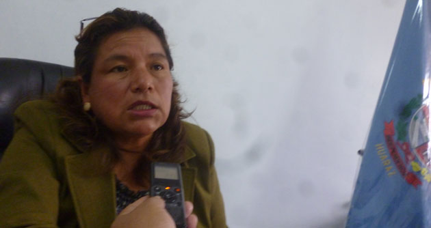 Inician plantaciones de árboles en el malecón norte del río Quillcay