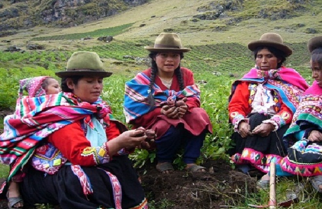Mujer andina es crucial para desarrollo de más del 43% de proyectos rurales